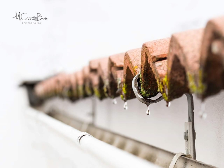 Gotas de vida