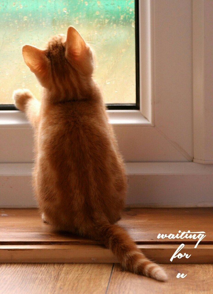 Waiting for U