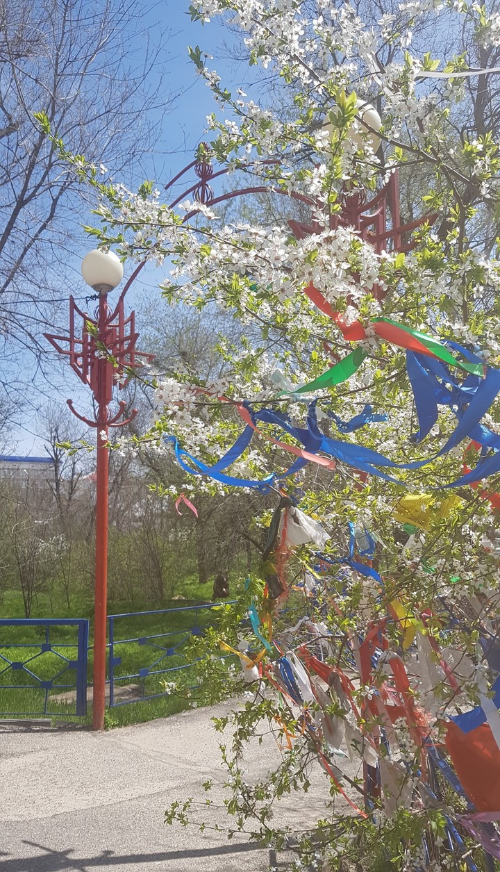 spring