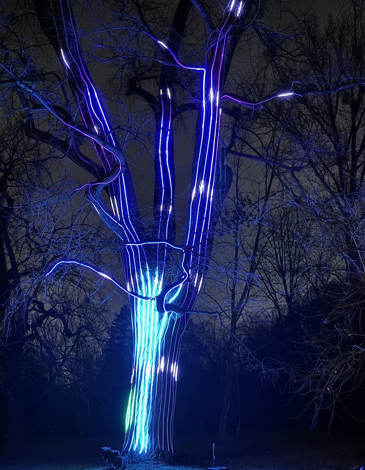 .