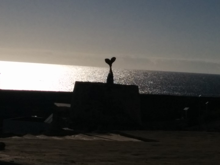 sirena....