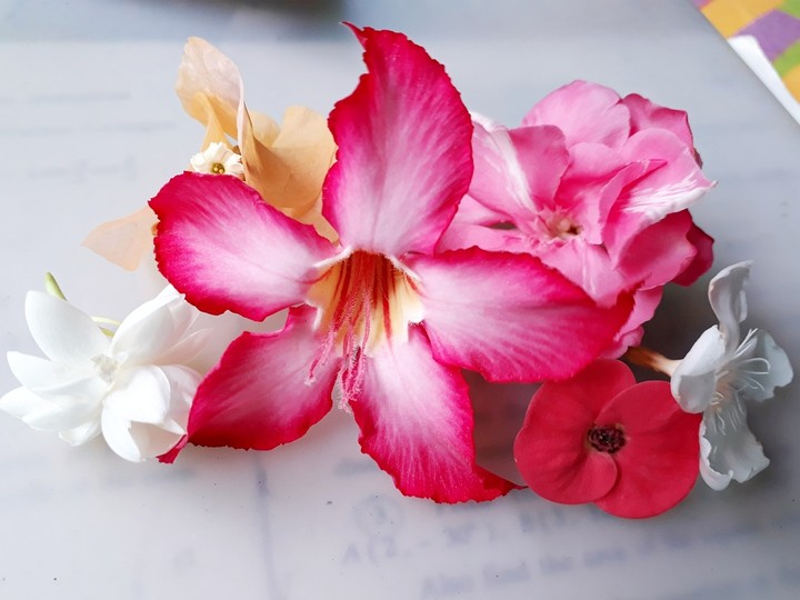 flowers