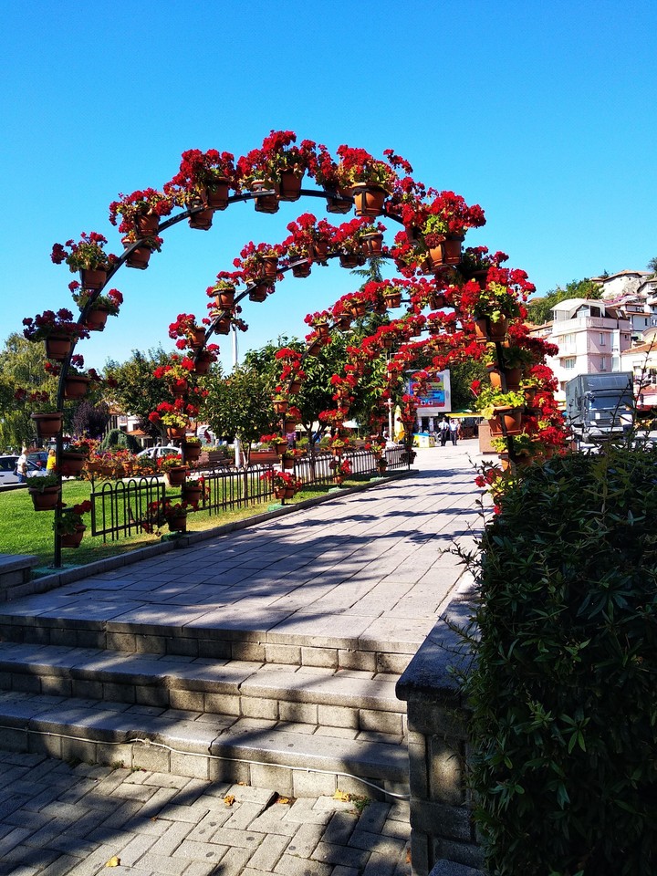 Flowers in the city