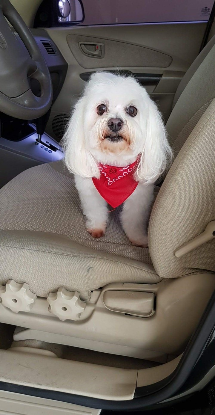 just out of the salon !
