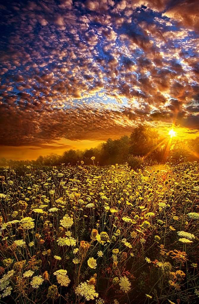 beautifull nature