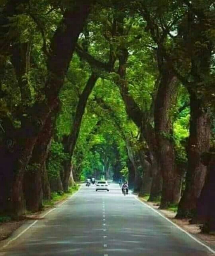 Priyo Jessore