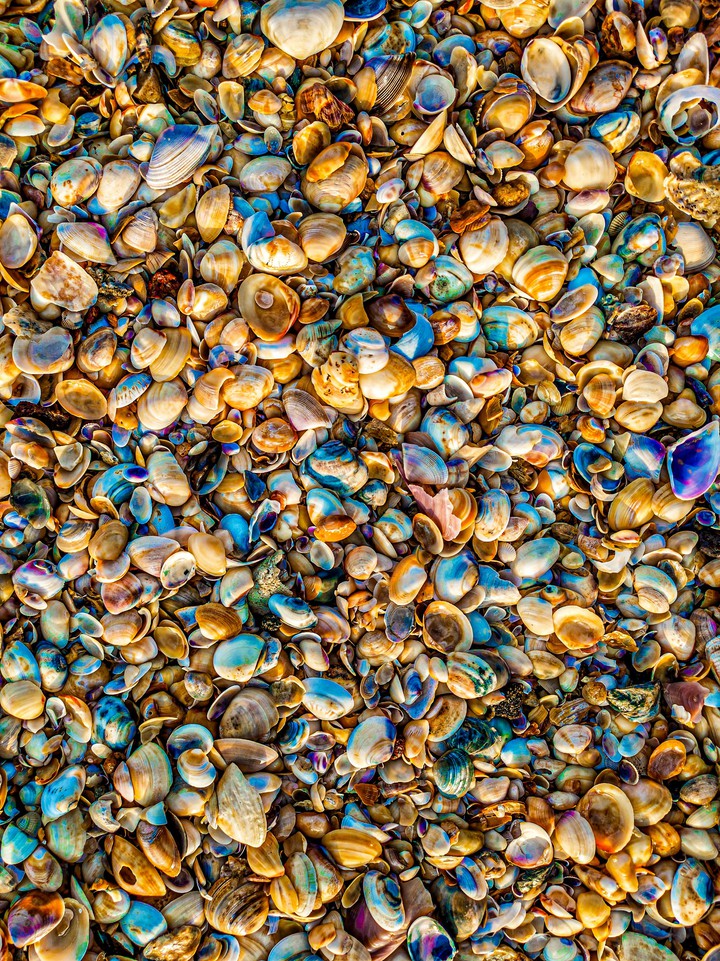 colors of sea