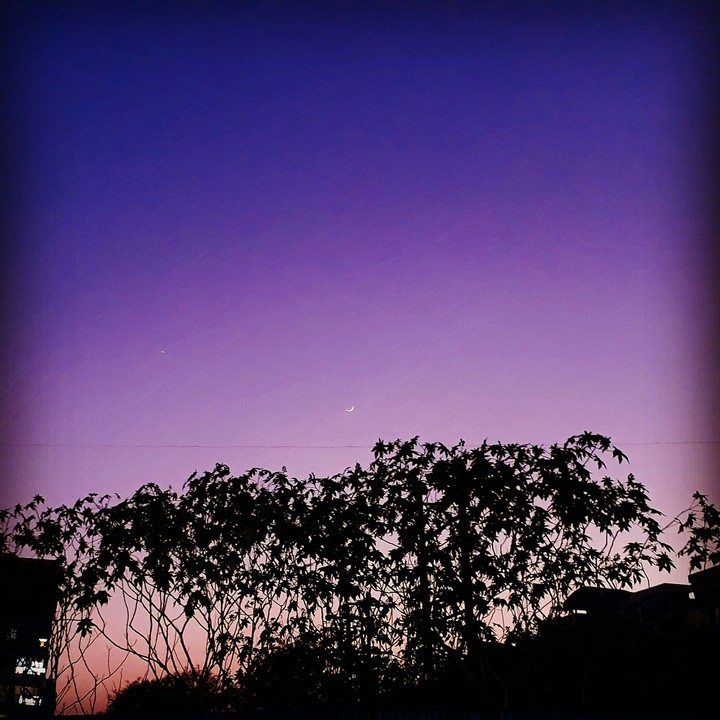 purple sky and MOON