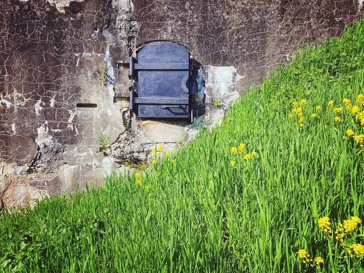 Summer window