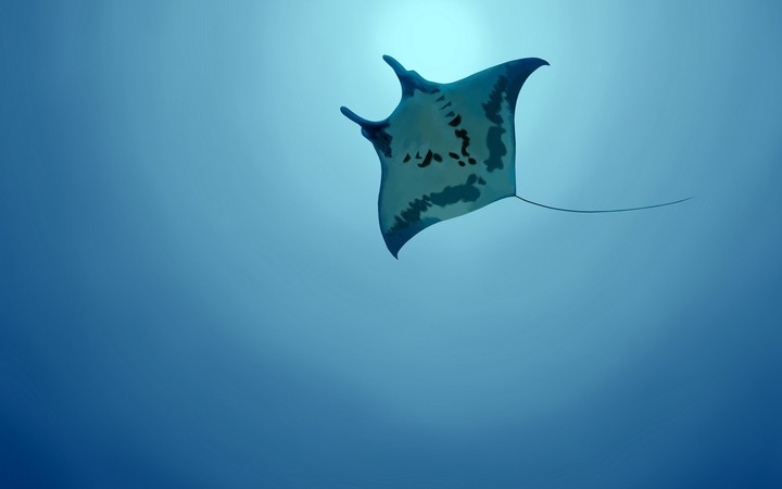 underwater