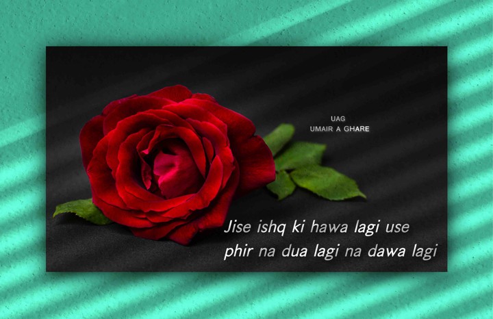 nice ??
