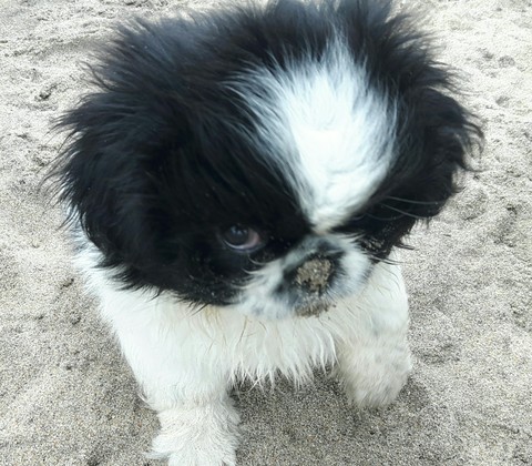 Cara 1st time at the beach