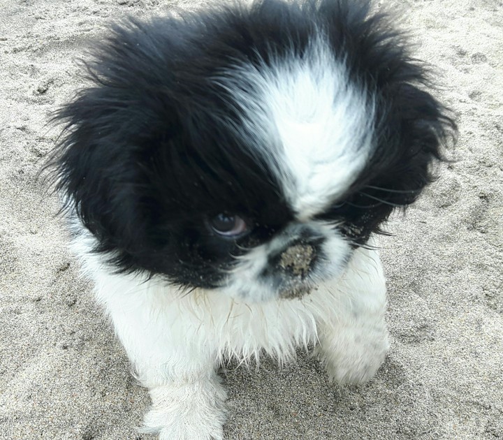 Cara 1st time at the beach