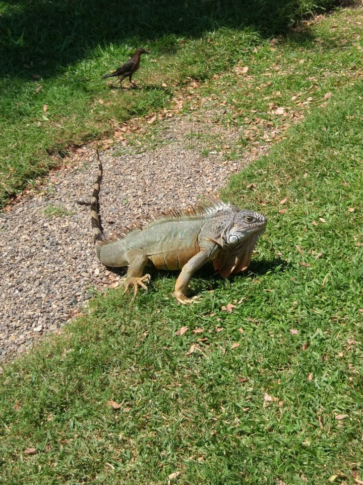 Mexico