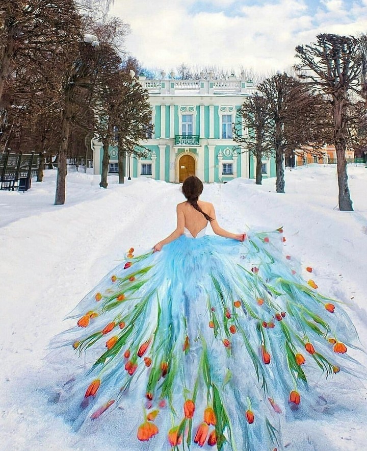 beautiful  dress