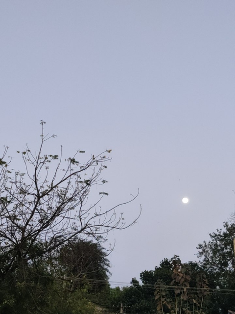 Moon