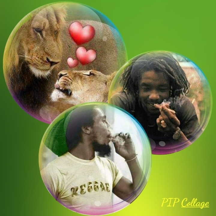 one love 