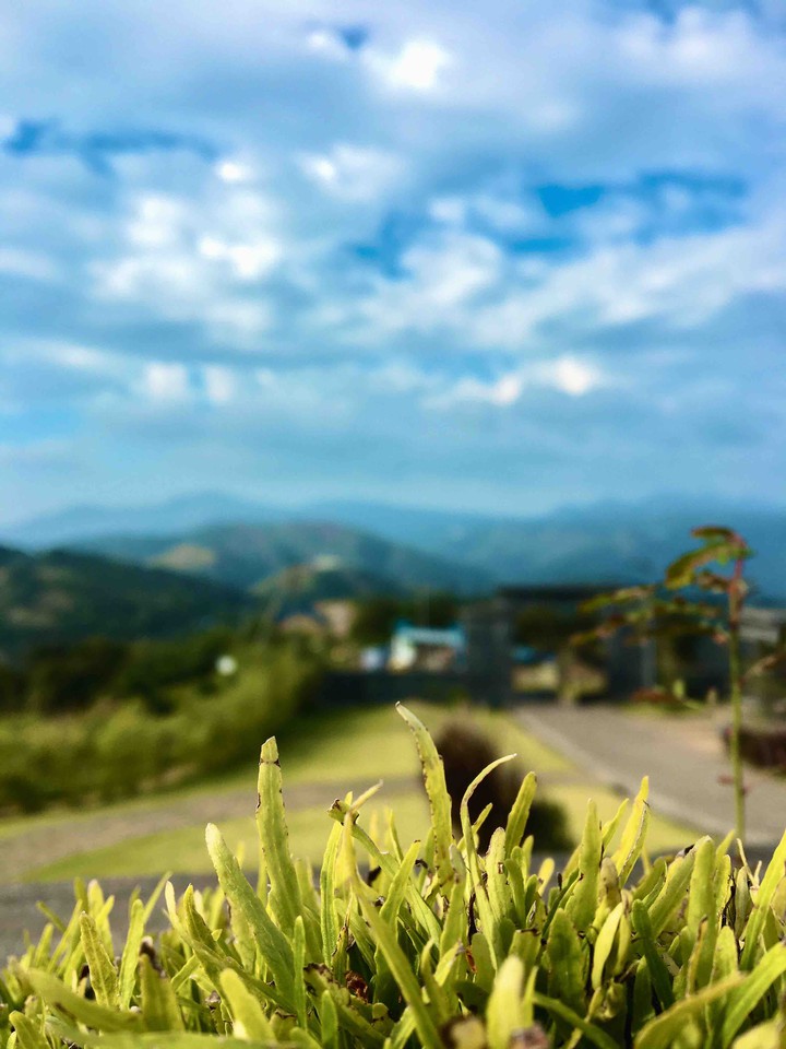 nature