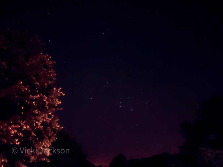 Night Sky