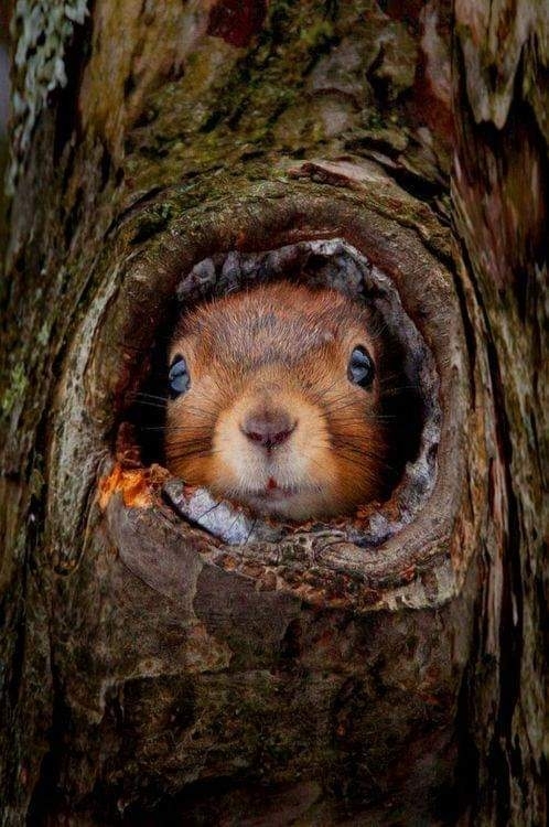 Hello 