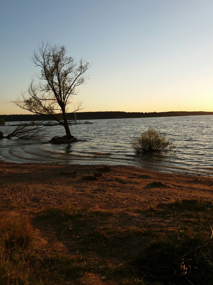landscape