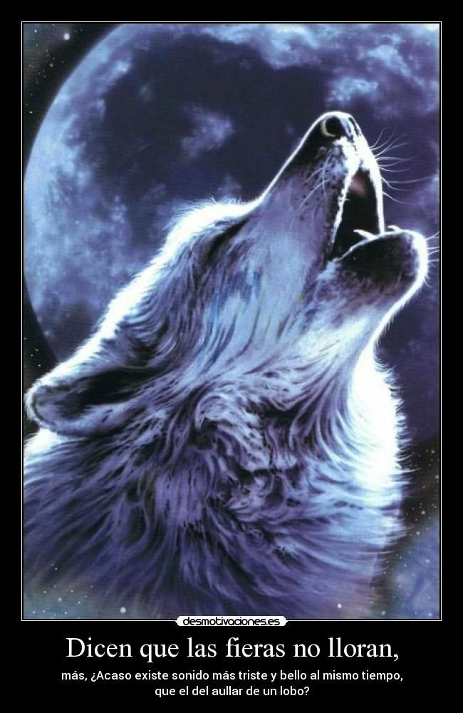 Lobos