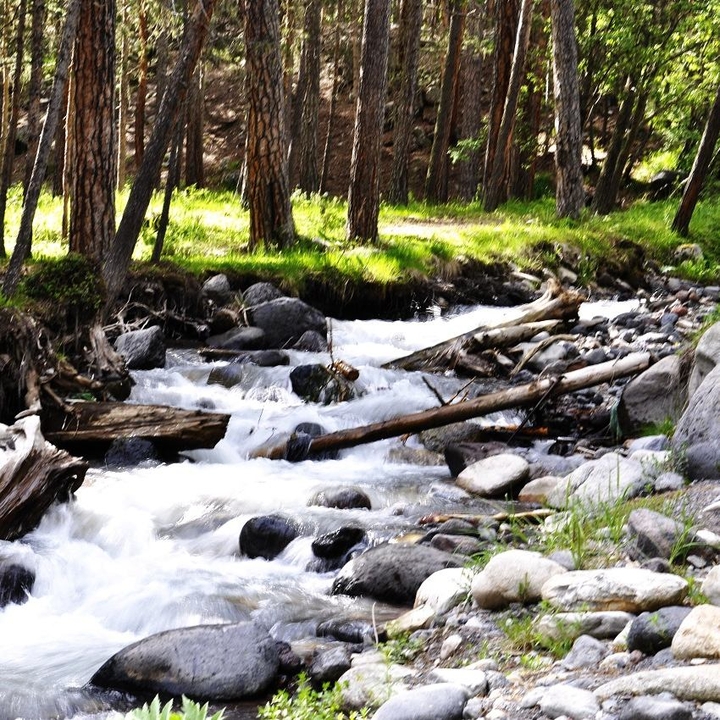 Mountain river