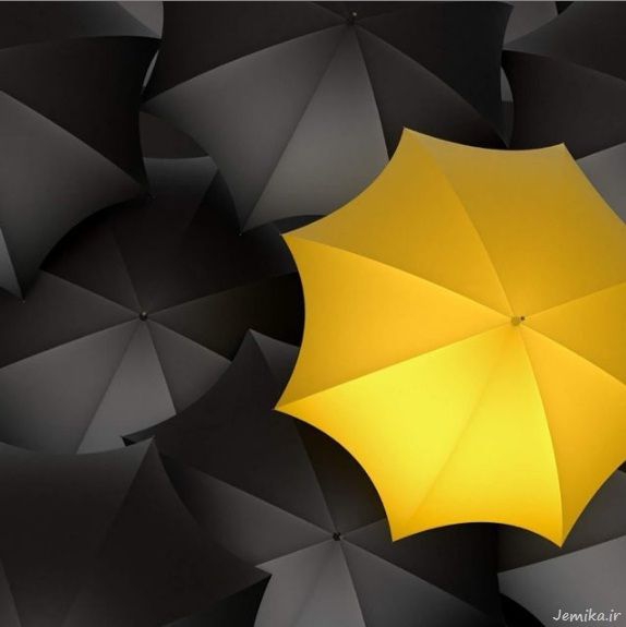umbrella