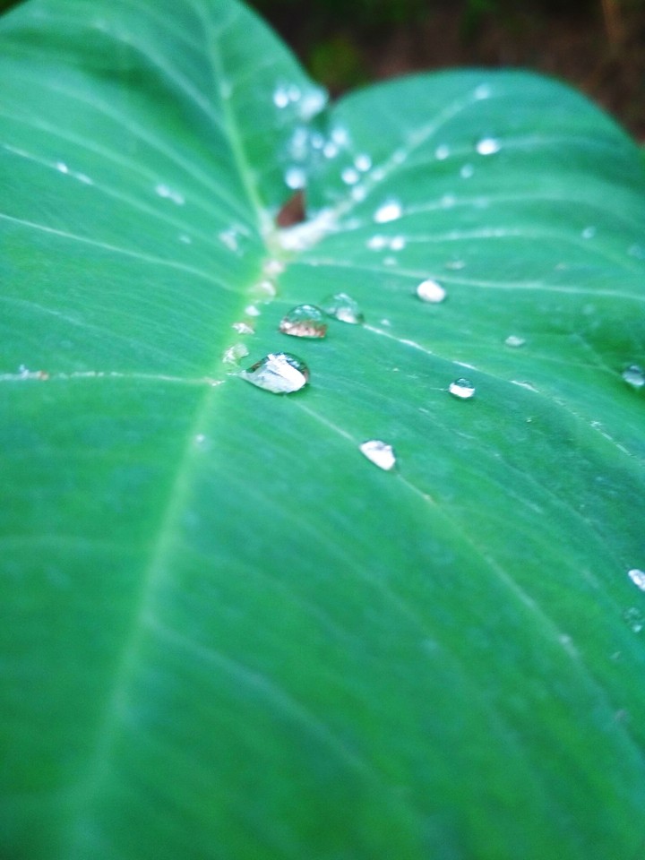 water Droplets .... 