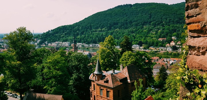 heidelberg from above (castle)