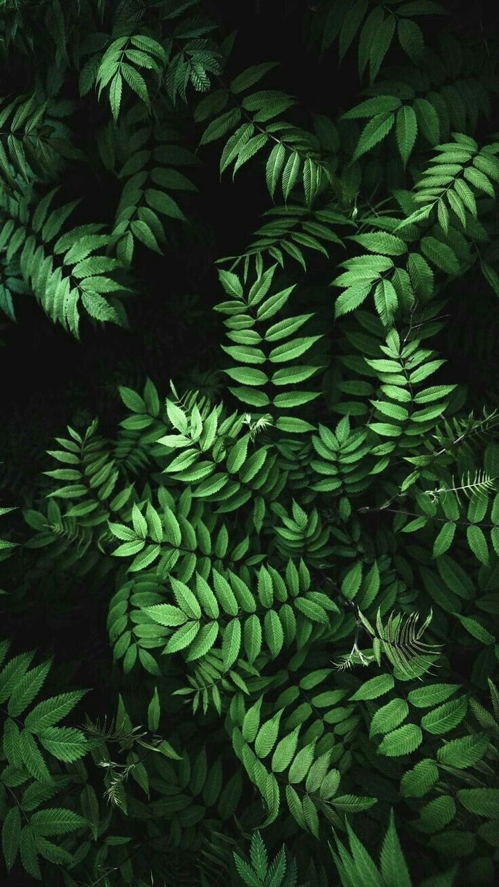 ♡