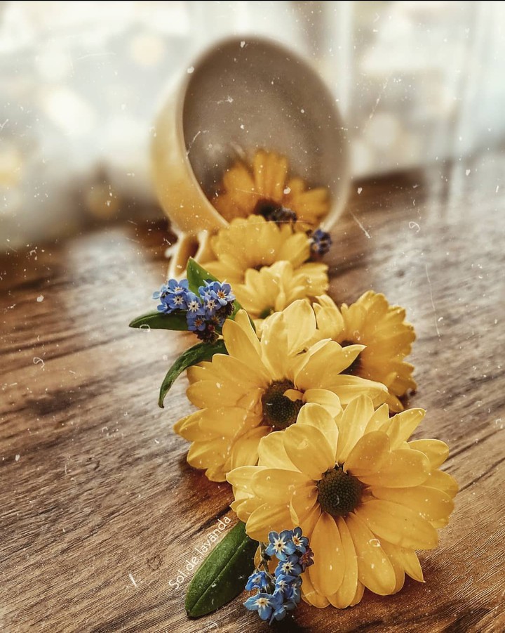 flower