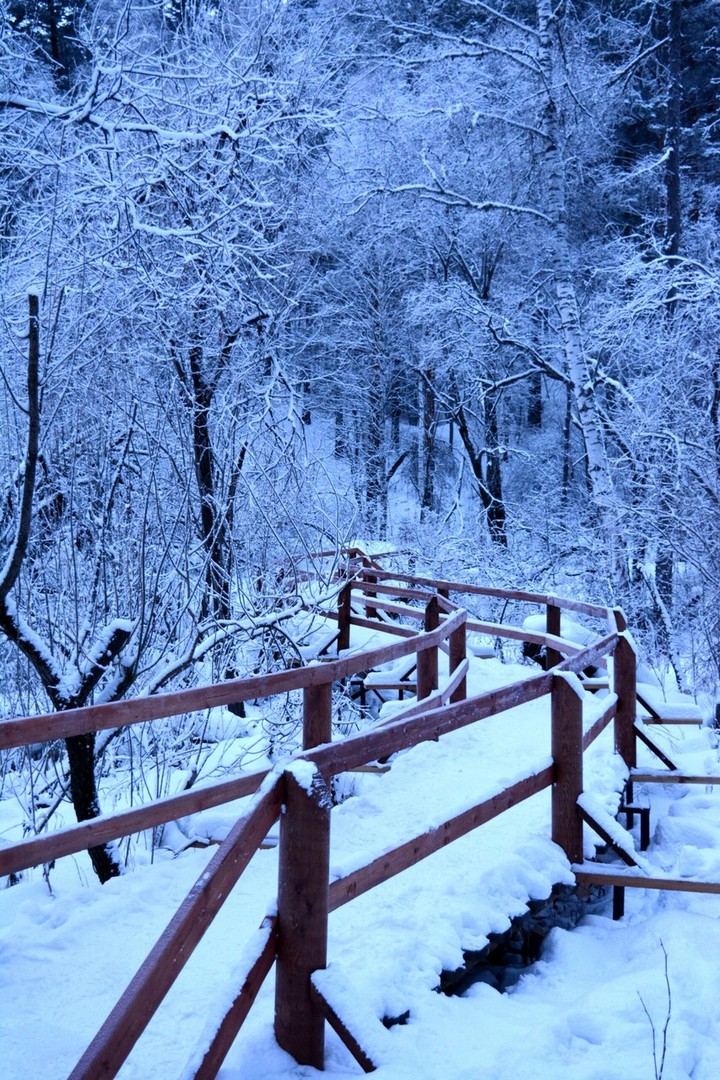 Winter