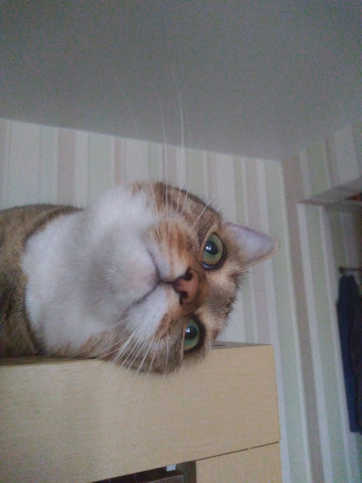 Boredom