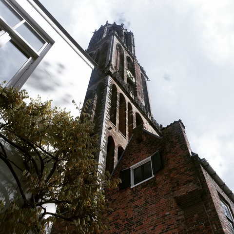 De Dom