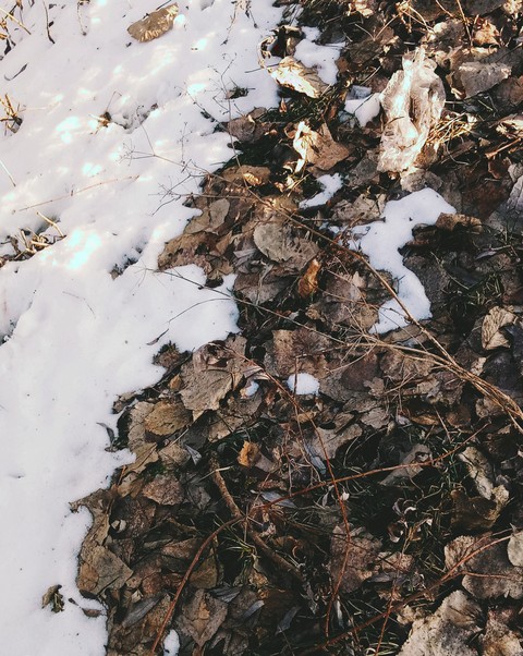 winter