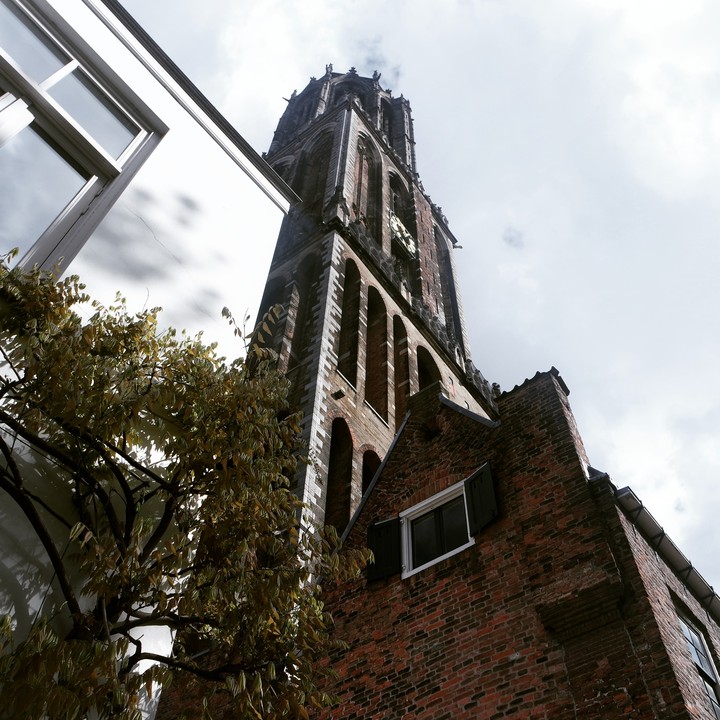 De Dom