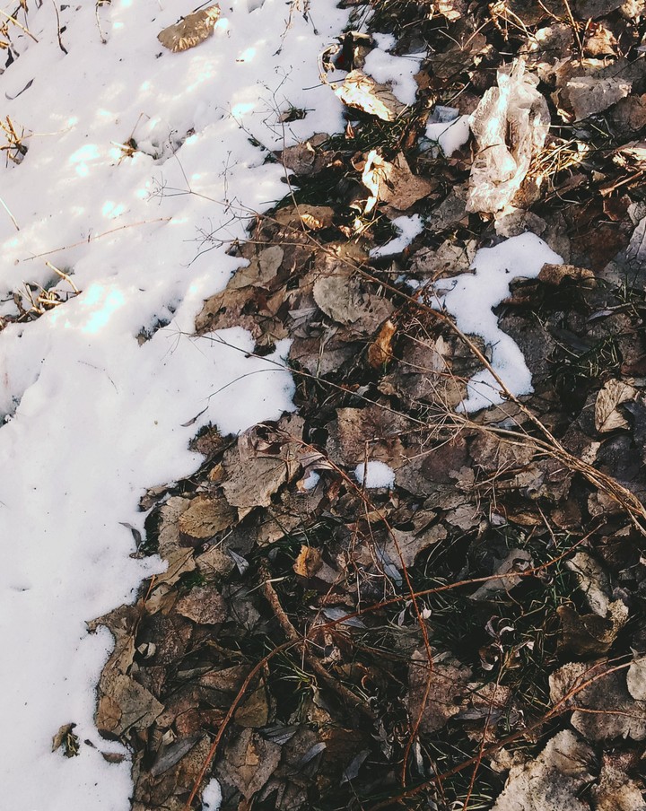 winter