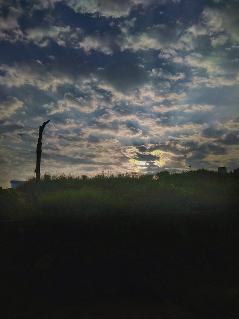 sunrise