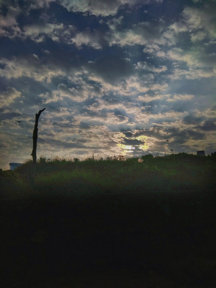 sunrise
