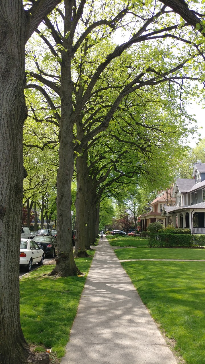 walk around Brooklyn