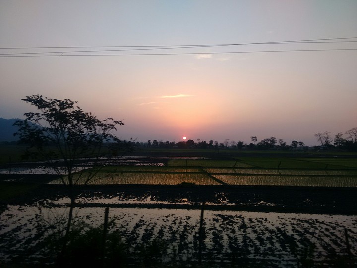 sunset