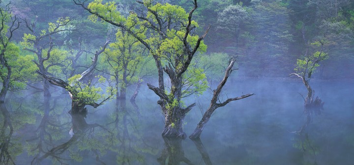 풍경