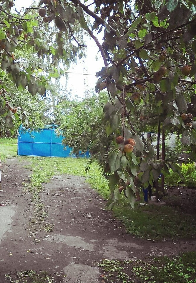 село