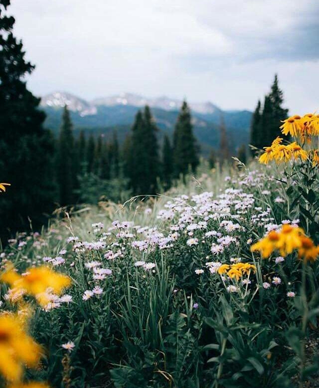 nice♥
