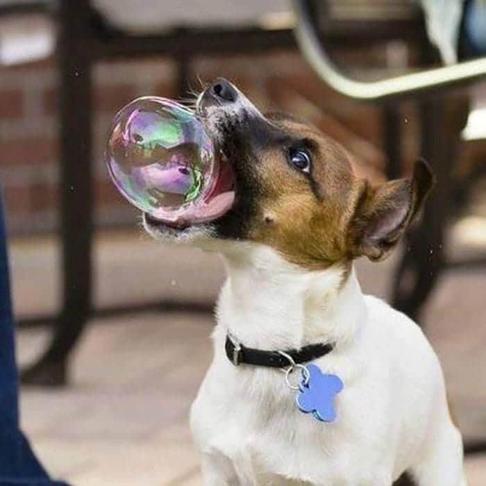 *