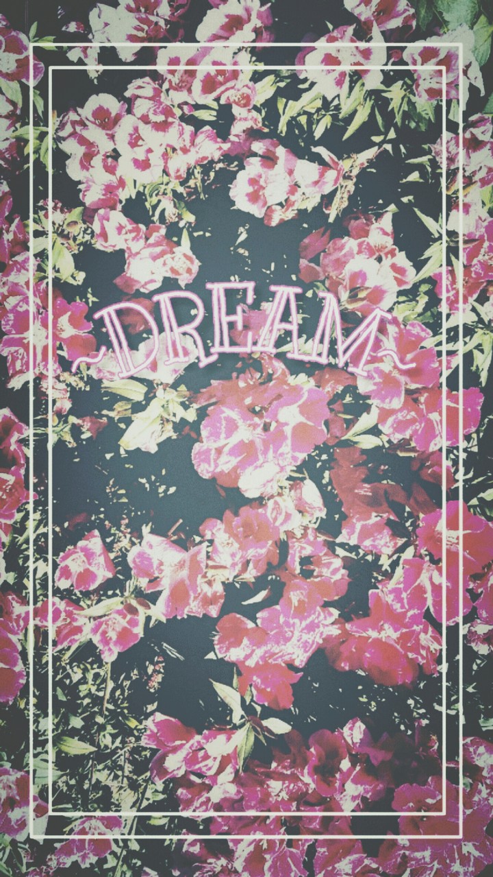 dream