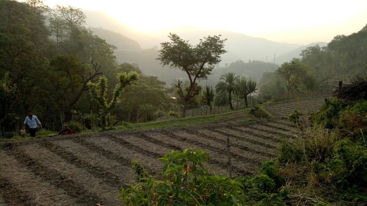 FARMS EVERYWHERE 