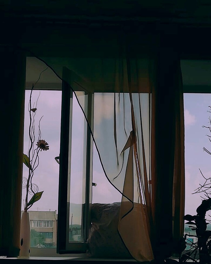 window