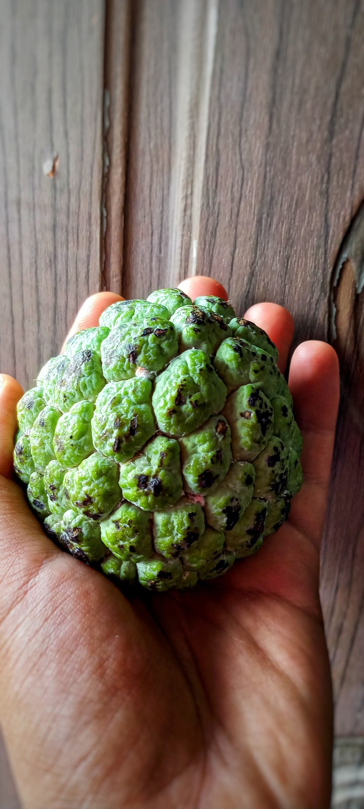custard apple ❤️